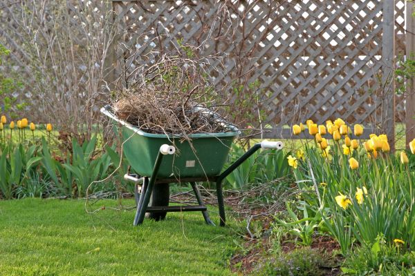 Flower Bed Cleanup Service in Pueblo