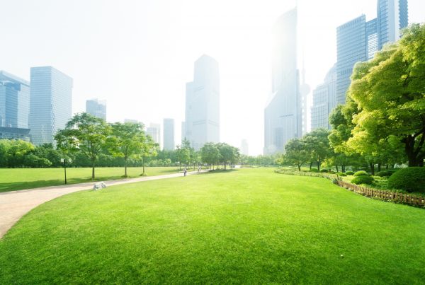 Commercial Landscape Maintenance in Pueblo