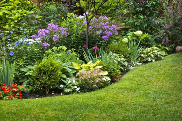 Flower Bed Service in Pueblo