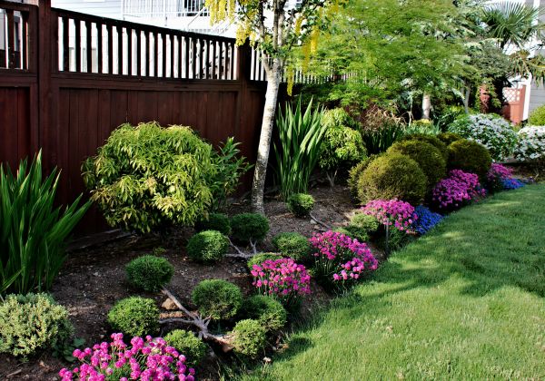 Garden Care Service in Pueblo