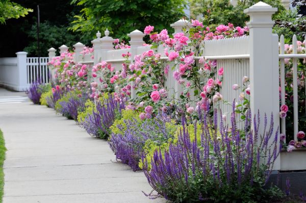 Garden Handyman Service in Pueblo