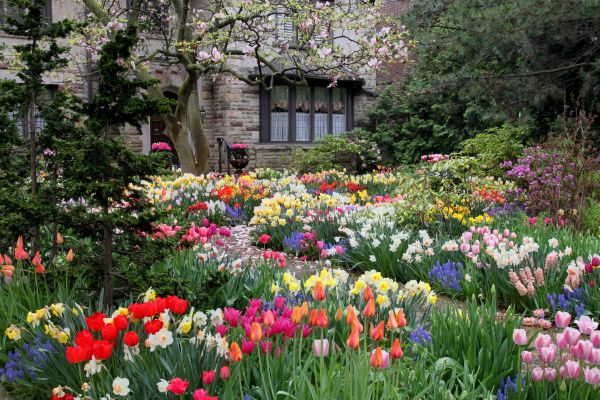 Garden Maintenance Service in Pueblo