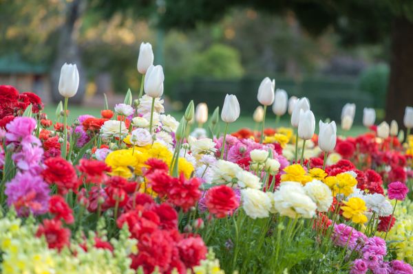 Gardening Service in Pueblo