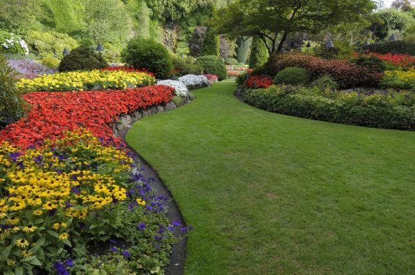 Landscaping Maintenance in Pueblo