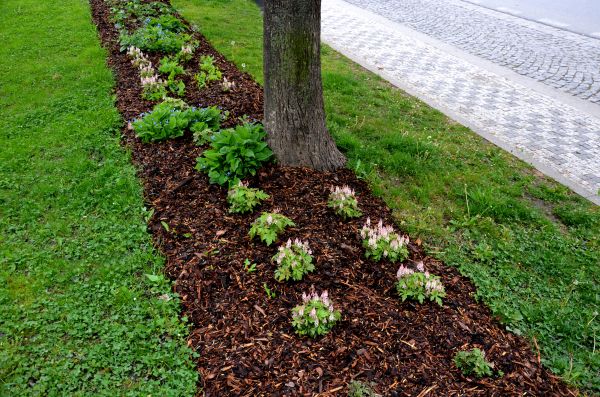 Mulch Replacement Service in Pueblo