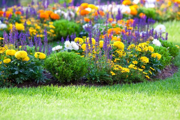 Garden Installation in Pueblo