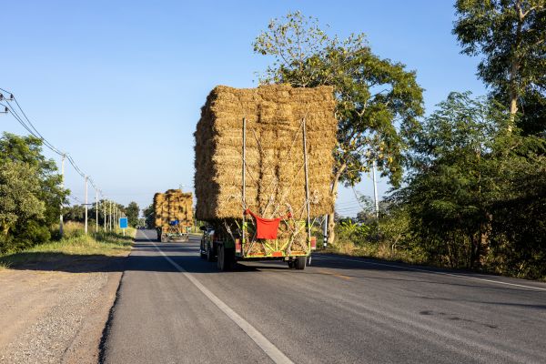 Pine Straw Delivery in Pueblo