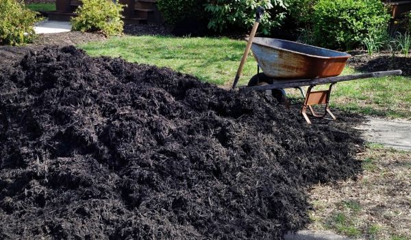 Black Mulch Delivery in Pueblo