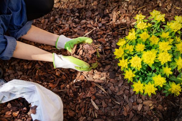 Garden Mulching in Pueblo