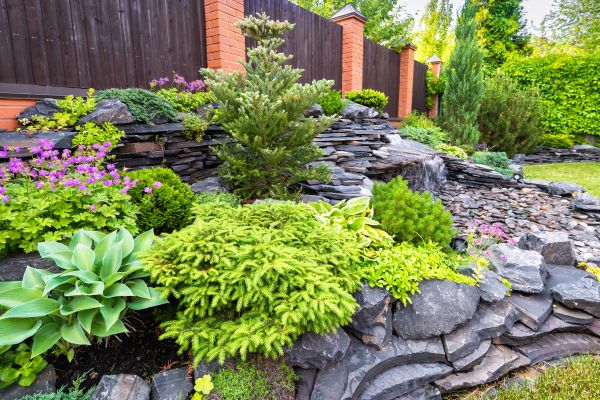 Landscape Remodeling in Pueblo