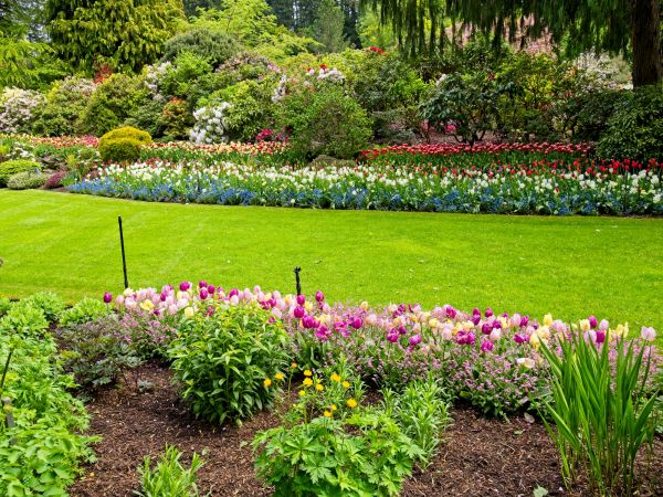 Residential Landscape Design in Pueblo