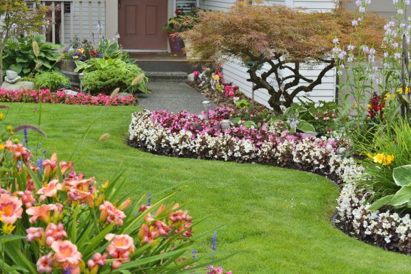 Perennial Landscaping in Pueblo