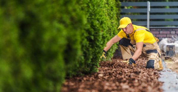 Cypress Mulch Installation in Pueblo