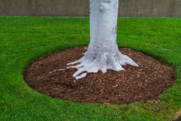 Brown Mulch Installation in Pueblo
