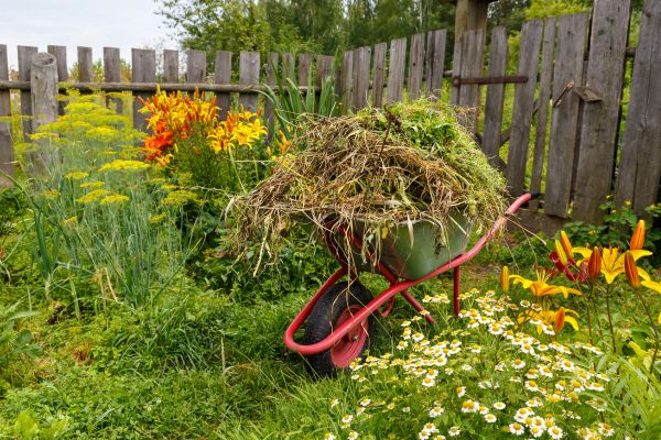 Garden Cleanup Service in Pueblo