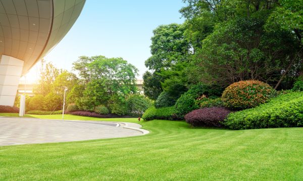Business Landscape Design in Pueblo
