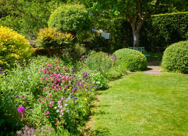 Yard Landscaping Service in Pueblo