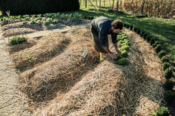 Straw Mulching Service in Pueblo
