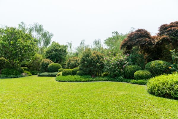 Tree Landscaping in Pueblo
