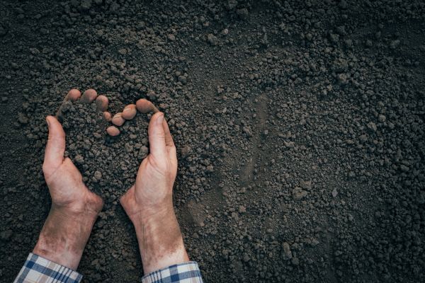 Soil Installation in Pueblo