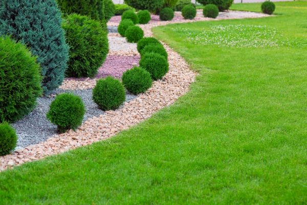 Edging Stones Installation in Pueblo