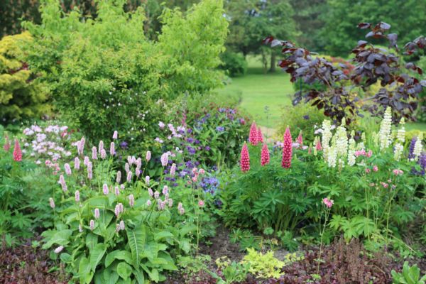 Flower Bed Planting in Pueblo