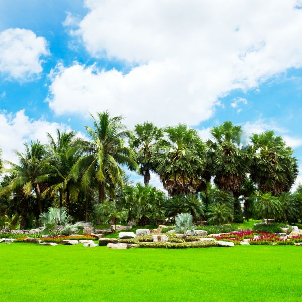 Tropical Landscaping in Pueblo