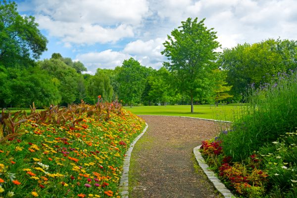 Park Landscaping in Pueblo