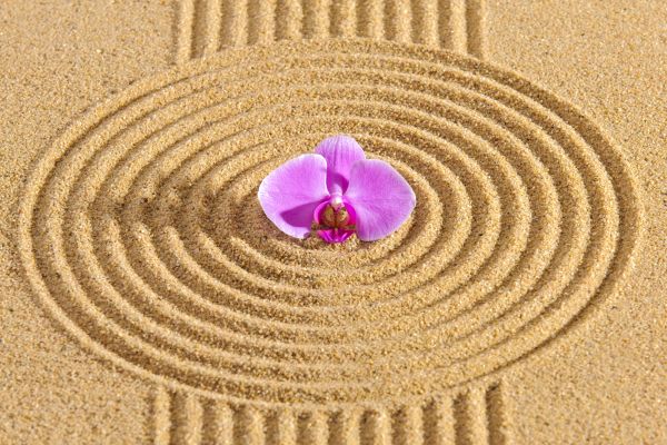 Sand Garden Landscaping in Pueblo
