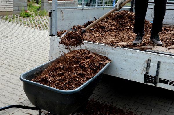 Cypress Mulch Delivery in Pueblo