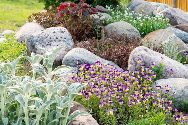 Rock Garden Installation in Pueblo