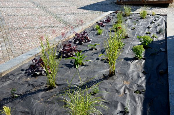 Landscape Fabric Installation in Pueblo