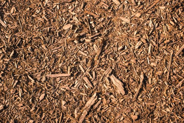 Wood Chips Removal in Pueblo