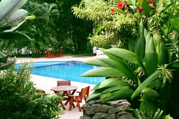 Pool Area Landscaping in Pueblo