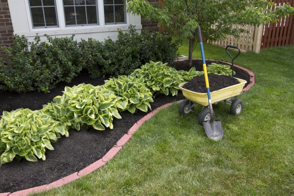 Landscape Mulching in Pueblo