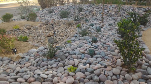 Yard Xeriscaping in Pueblo