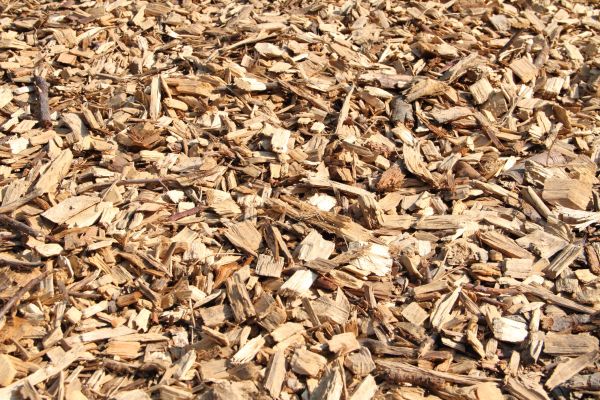 Wood Mulch Delivery in Pueblo
