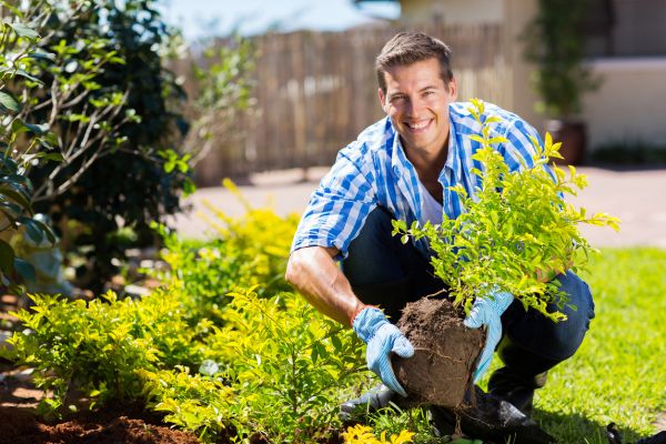 Shrub Landscaping in Pueblo