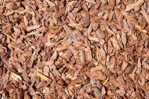 Pine Mulch Spreading in Pueblo