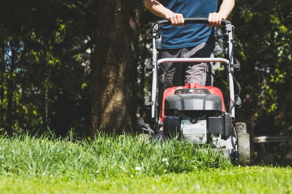Garden Trimming Service in Pueblo
