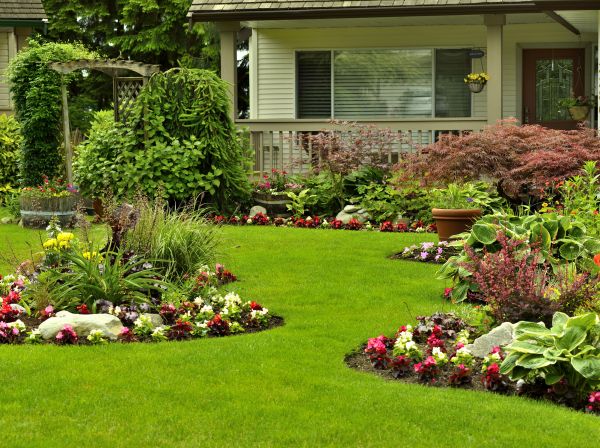 Flower Garden Planting in Pueblo
