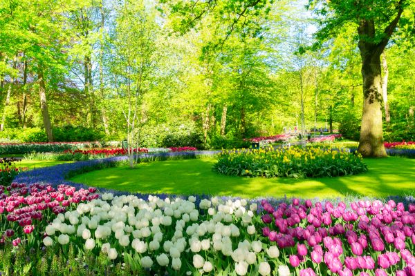 Flower Landscaping in Pueblo
