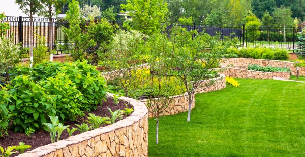 Yard Makeover Service in Pueblo
