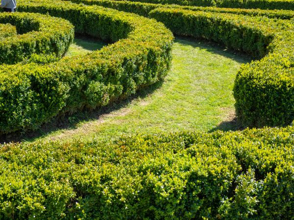 Bush Landscaping in Pueblo