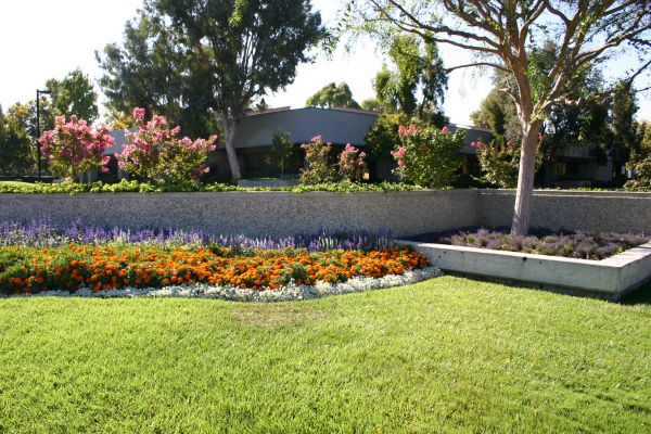 Commercial Landscape Service in Pueblo