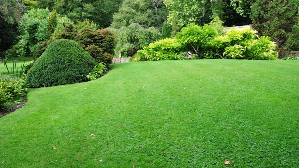 Commercial Landscape Design in Pueblo
