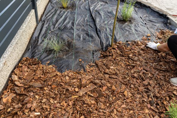 Pine Bark Spreading in Pueblo