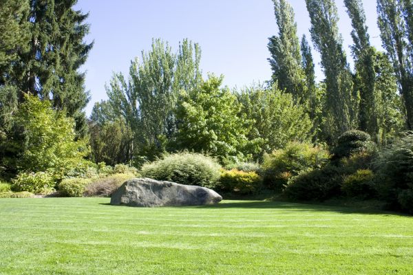 Yard Enlargement in Pueblo