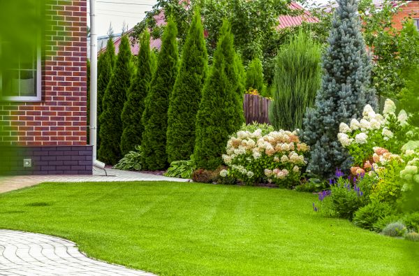 Spring Landscaping in Pueblo