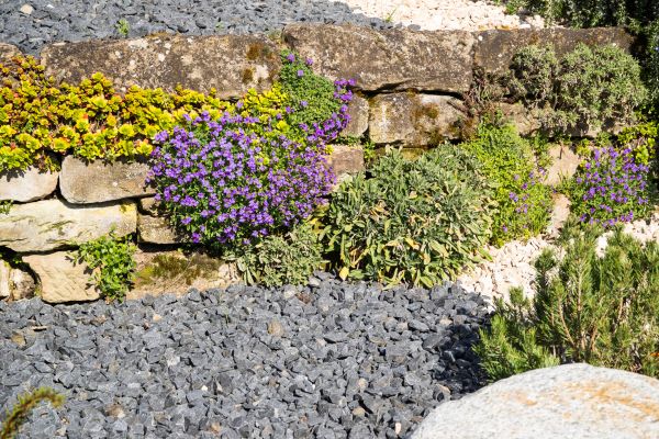 Landscaping Rocks Installation in Pueblo